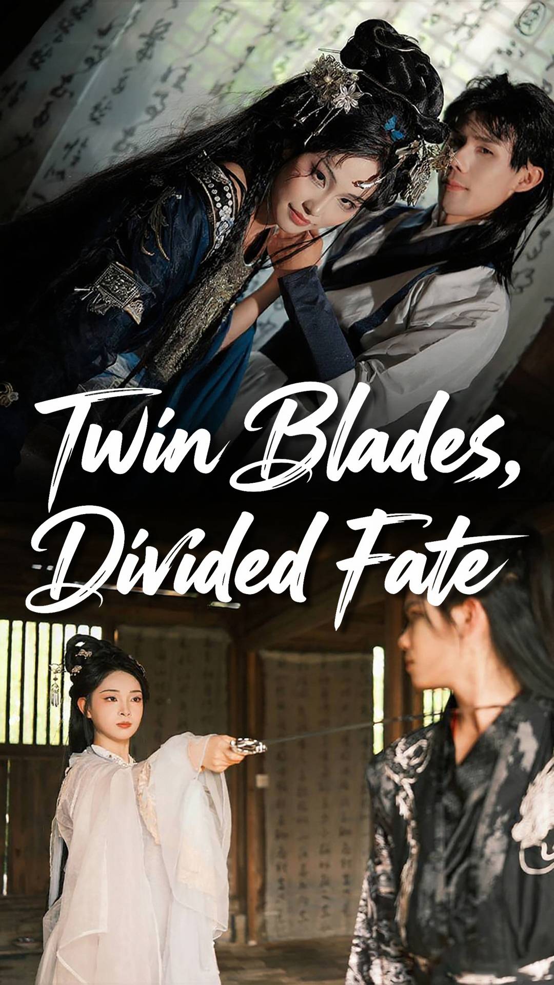 Twin Blades, Divided Fate
