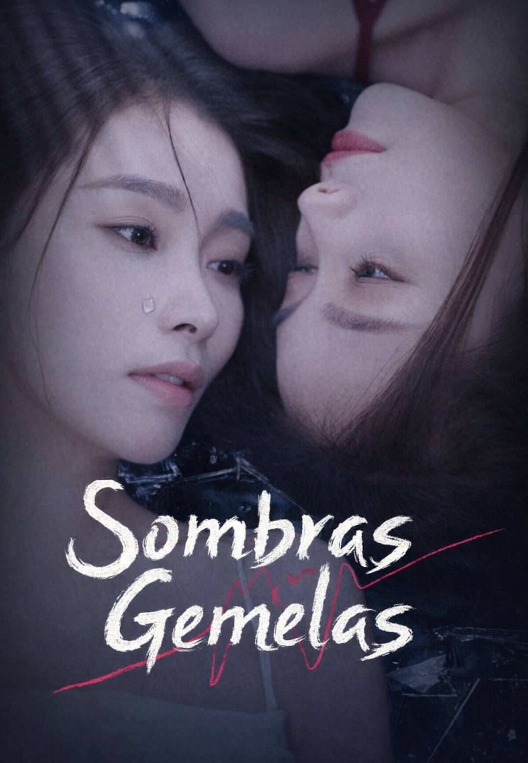 Sombras Gemelas