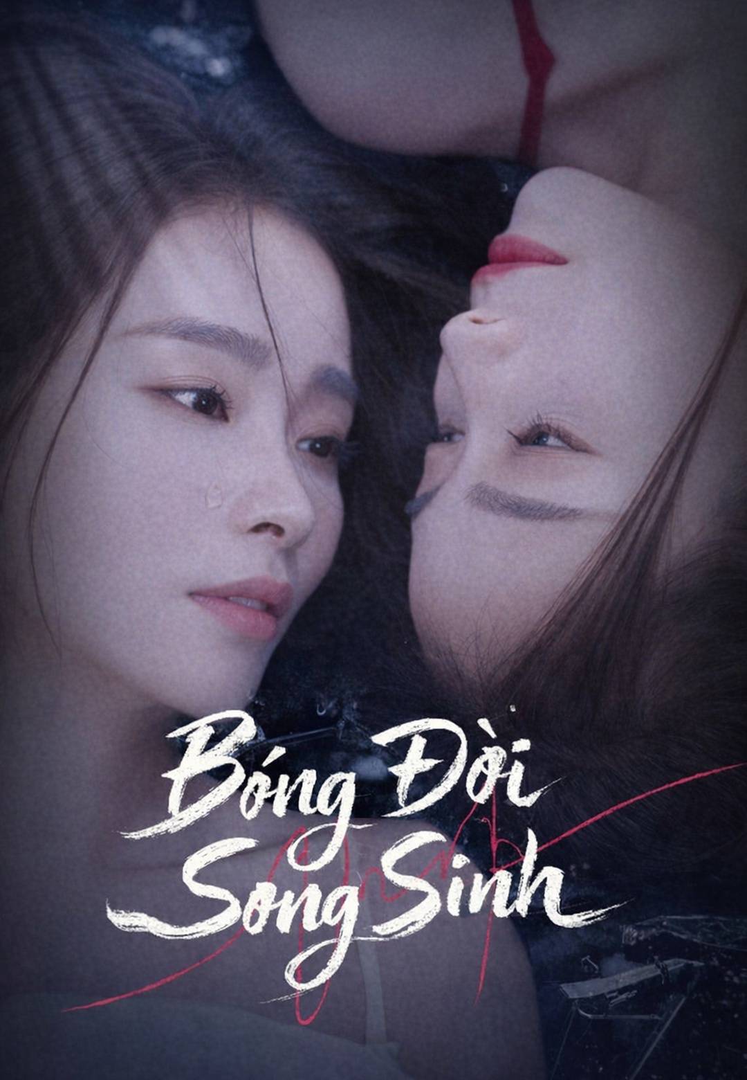 Bóng Đời Song Sinh